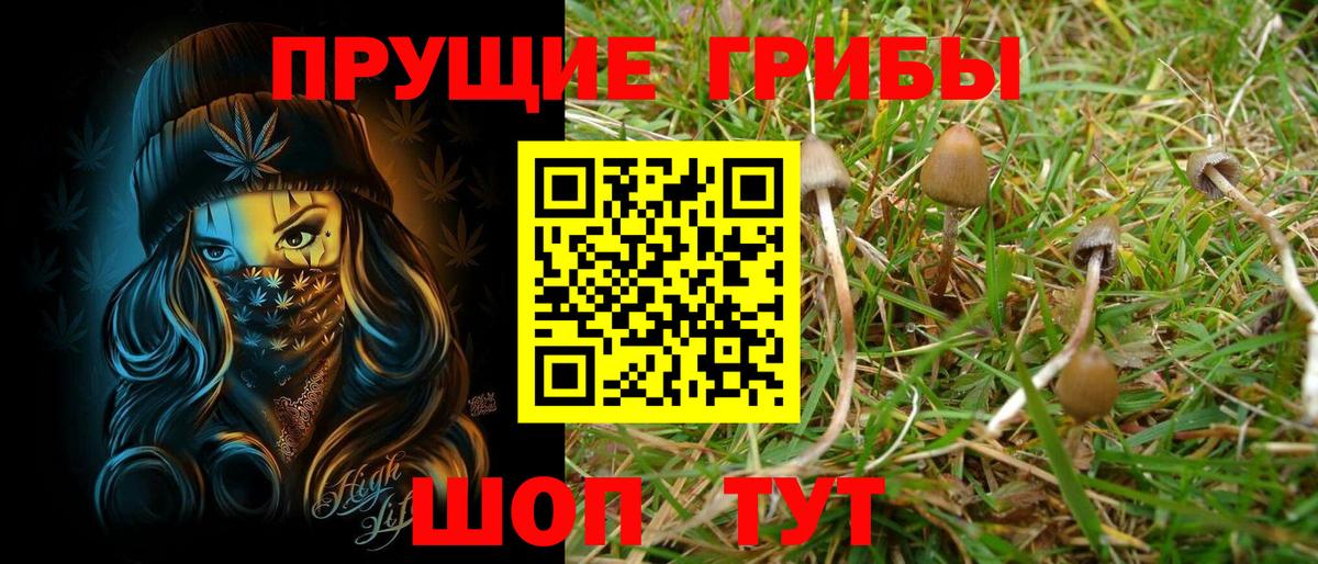 Псилоцибиновые грибы GOLDEN TEACHER Кумертау